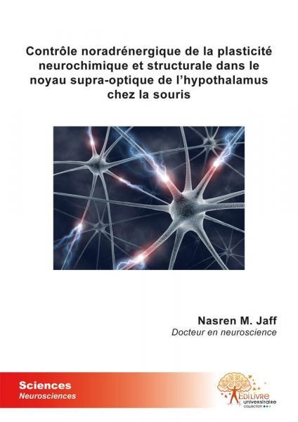 Contrôle noradrénergique de la plasticité neurochimique et structurale dans le noyau supra optique de l'hypothalamus chez la souris