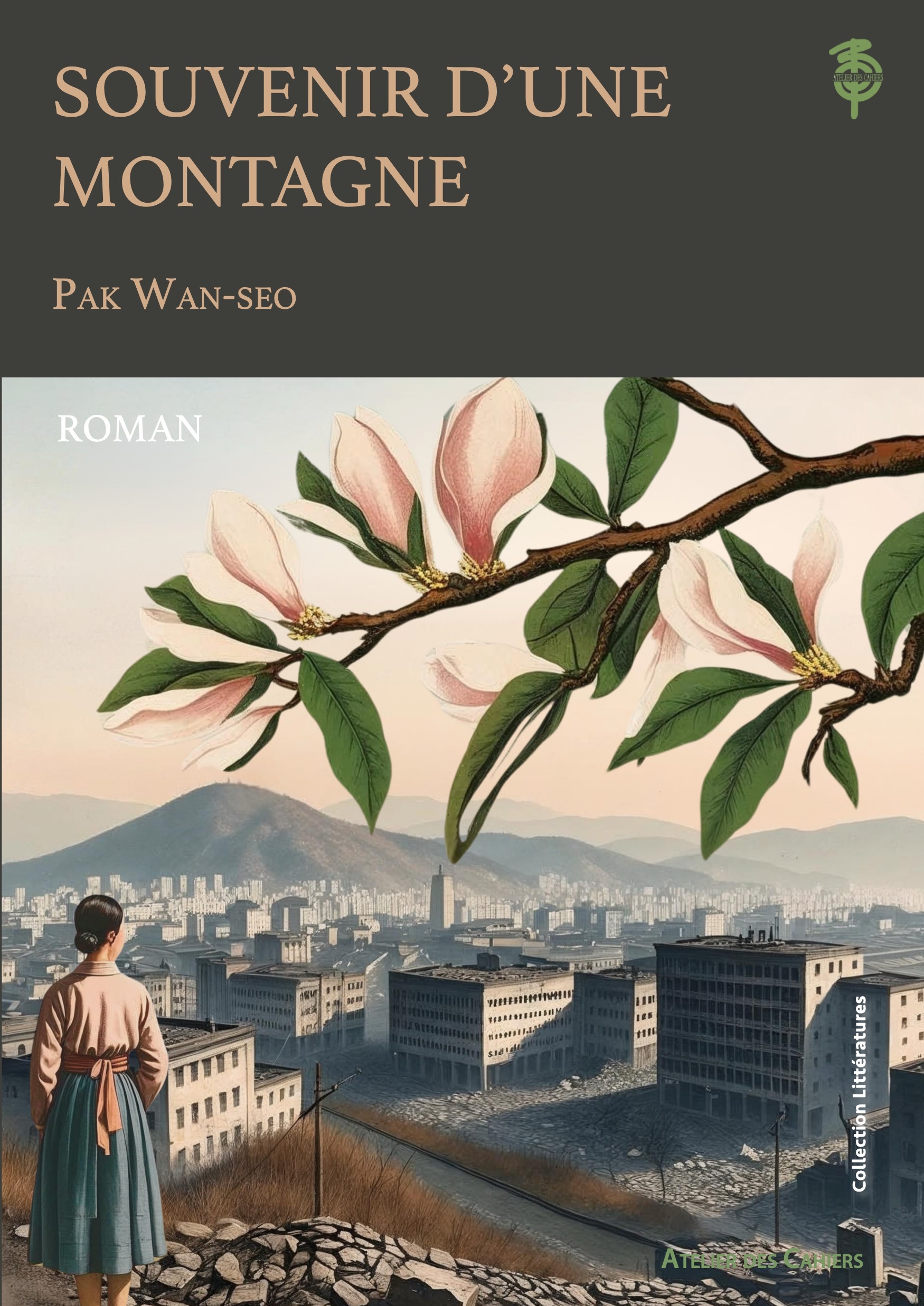 Souvenir d'une montagne