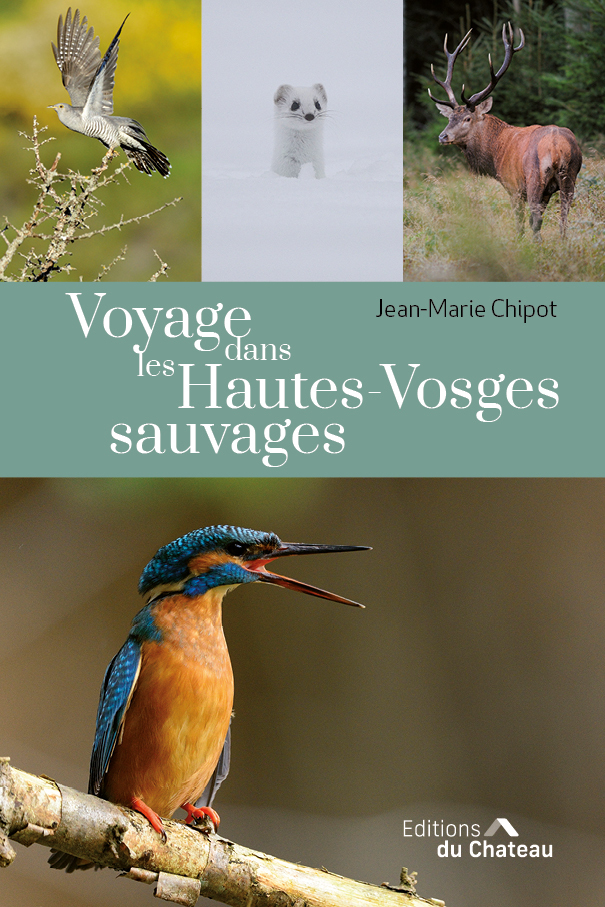 VOYAGE DANS LES HAUTES-VOSGES SAUVAGES