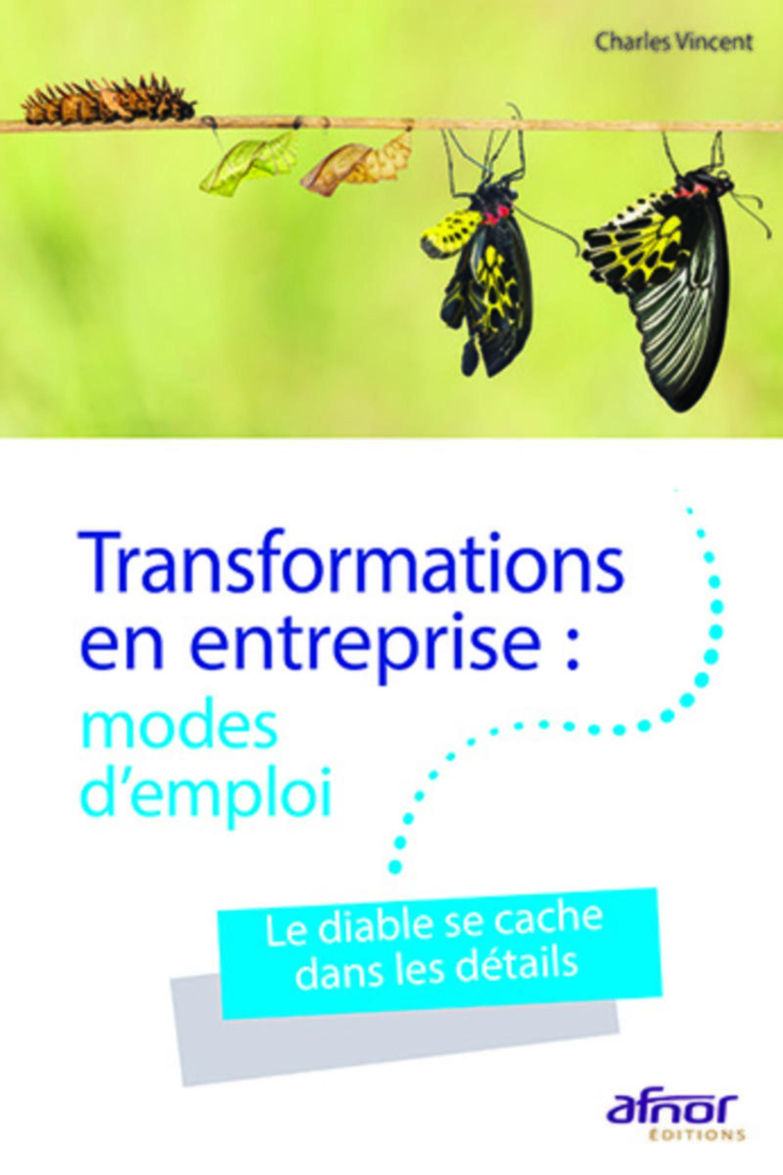 Transformations en entreprise : modes d'emploi