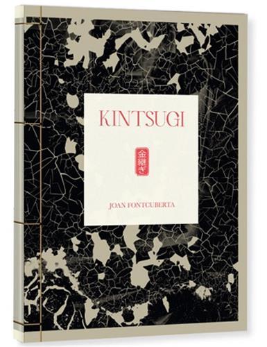 Joan Fontcuberta Kintsugi /anglais