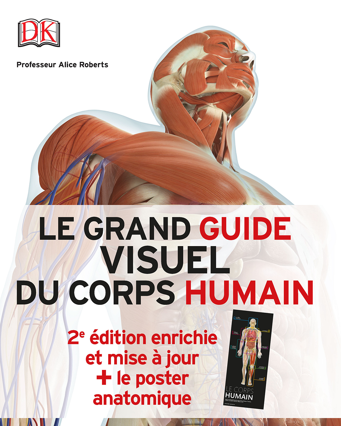 Pack Le grand guide visuel du corps humain + poster anatomique