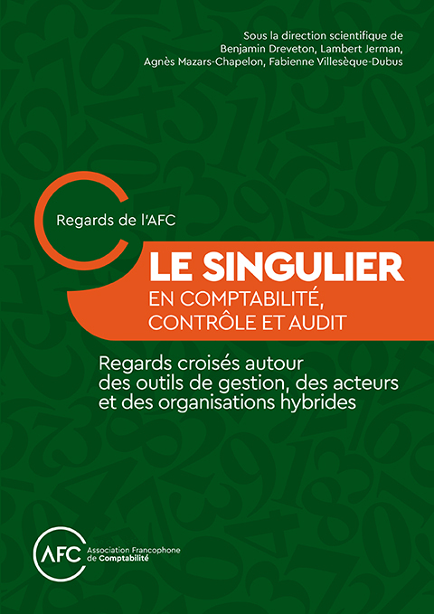 Le Singulier en comptabilité, contrôle et audit