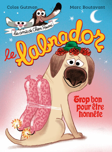 Le labrador