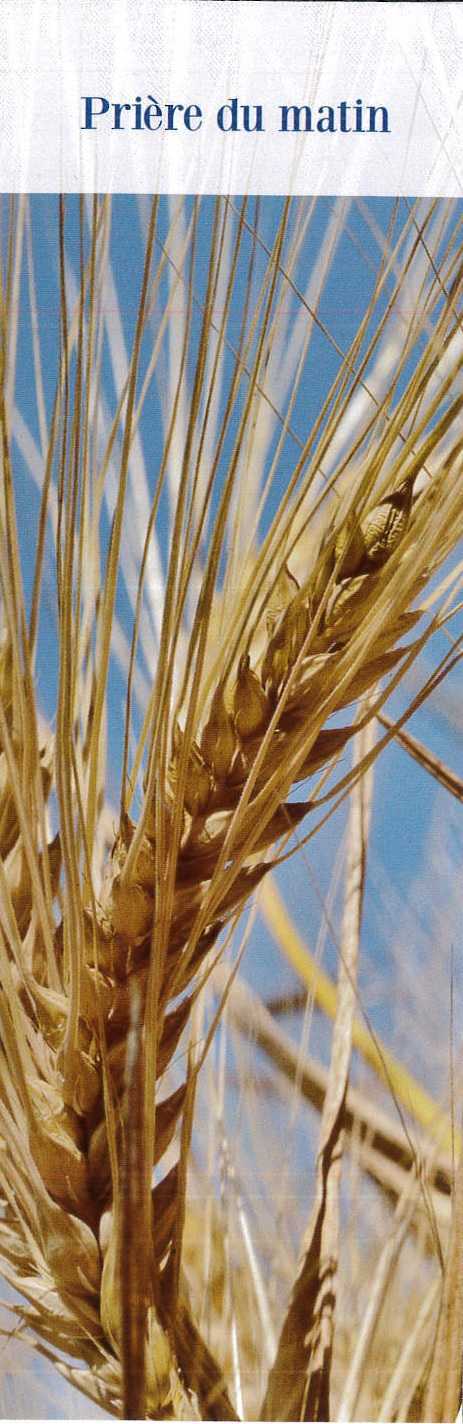 Signet Prière du matin  - Lot de 10 -  Collection 24 prières