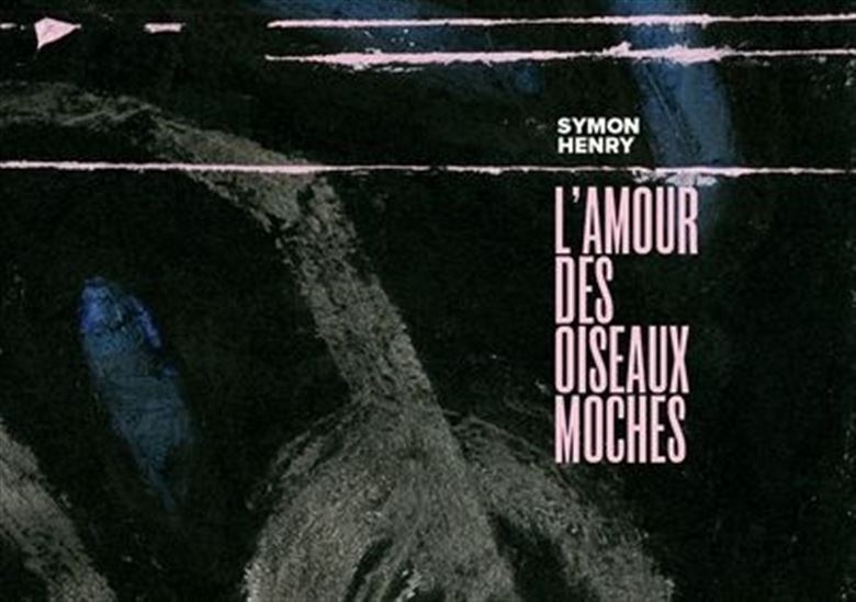 L'AMOUR DES OISEAUX MOCHES