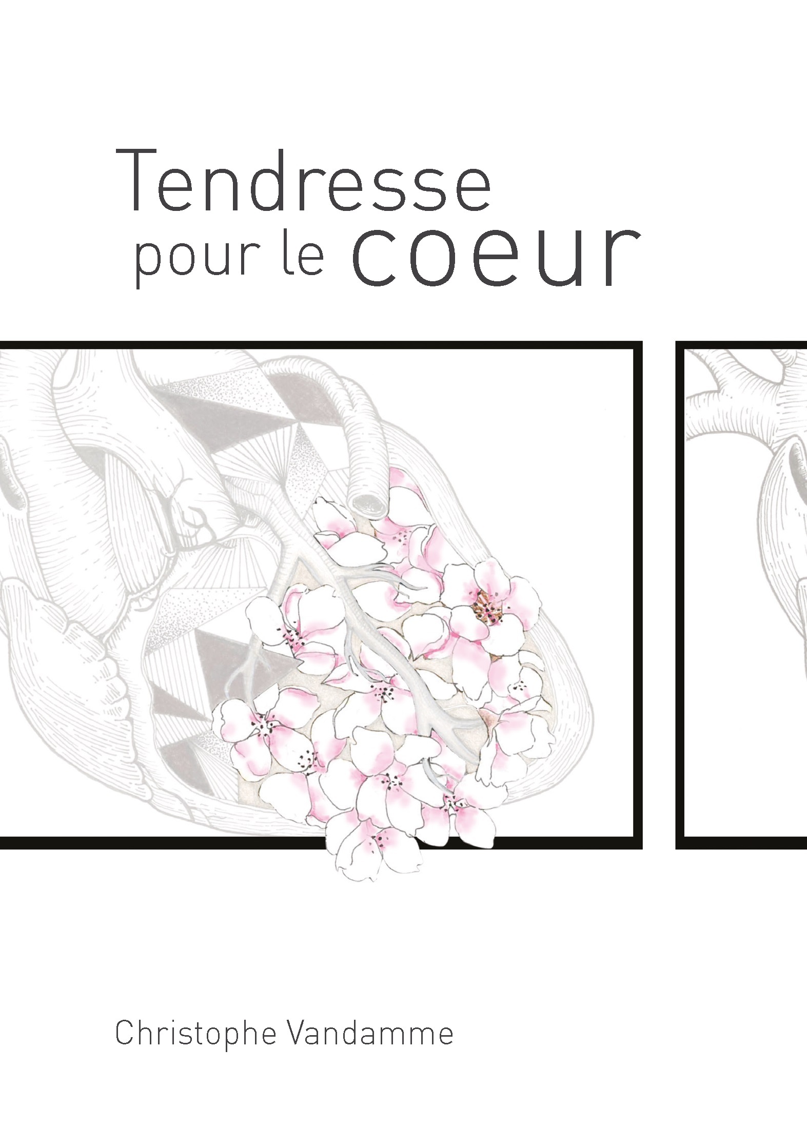 TENDRESSE POUR LE COEUR