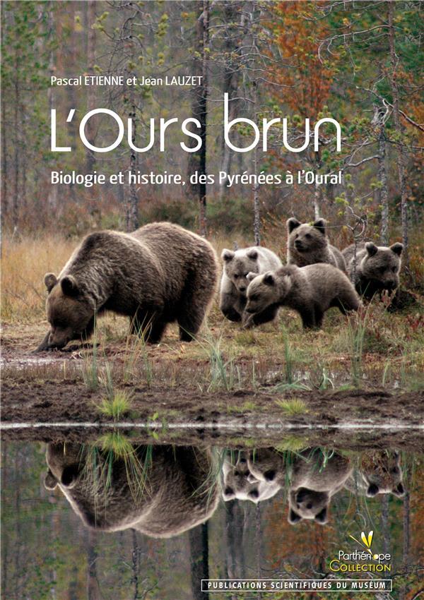 L'OURS BRUN. BIOLOGIE ET HISTOIRE, DES PYRENEES A L'OURAL