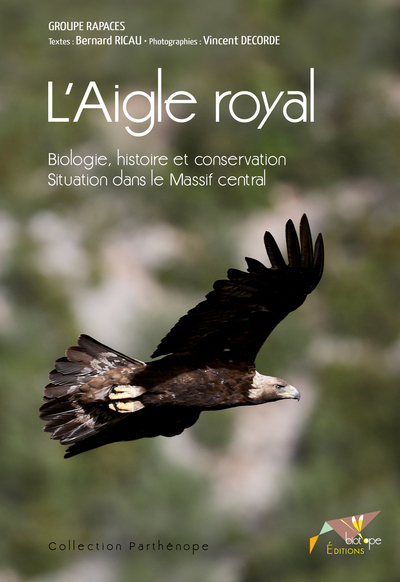 L'AIGLE ROYAL -  BIOLOGIE, HISTOIRE ET CONSERVATION. SITUATIONDANS LE MASSIF CEN