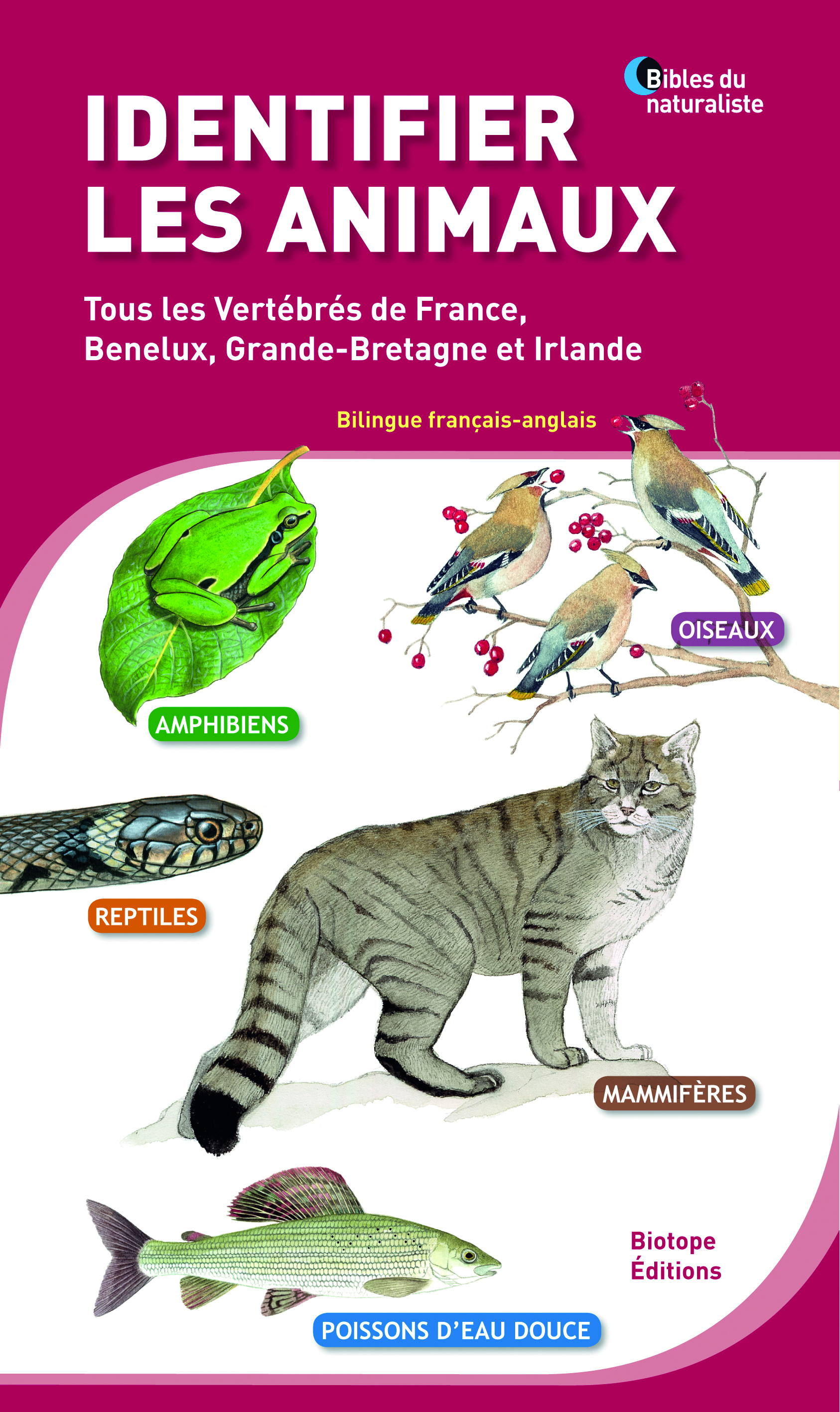 Identifier les animaux - Tous les vertébrés de France, Benelux, Grande-Bretagne et Irlande