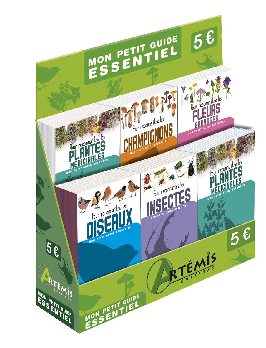 DISPLAY MON PETIT GUIDE ESSENTIEL 30 EXEMPLAIRES ( 6 EX - 5 TITRES )