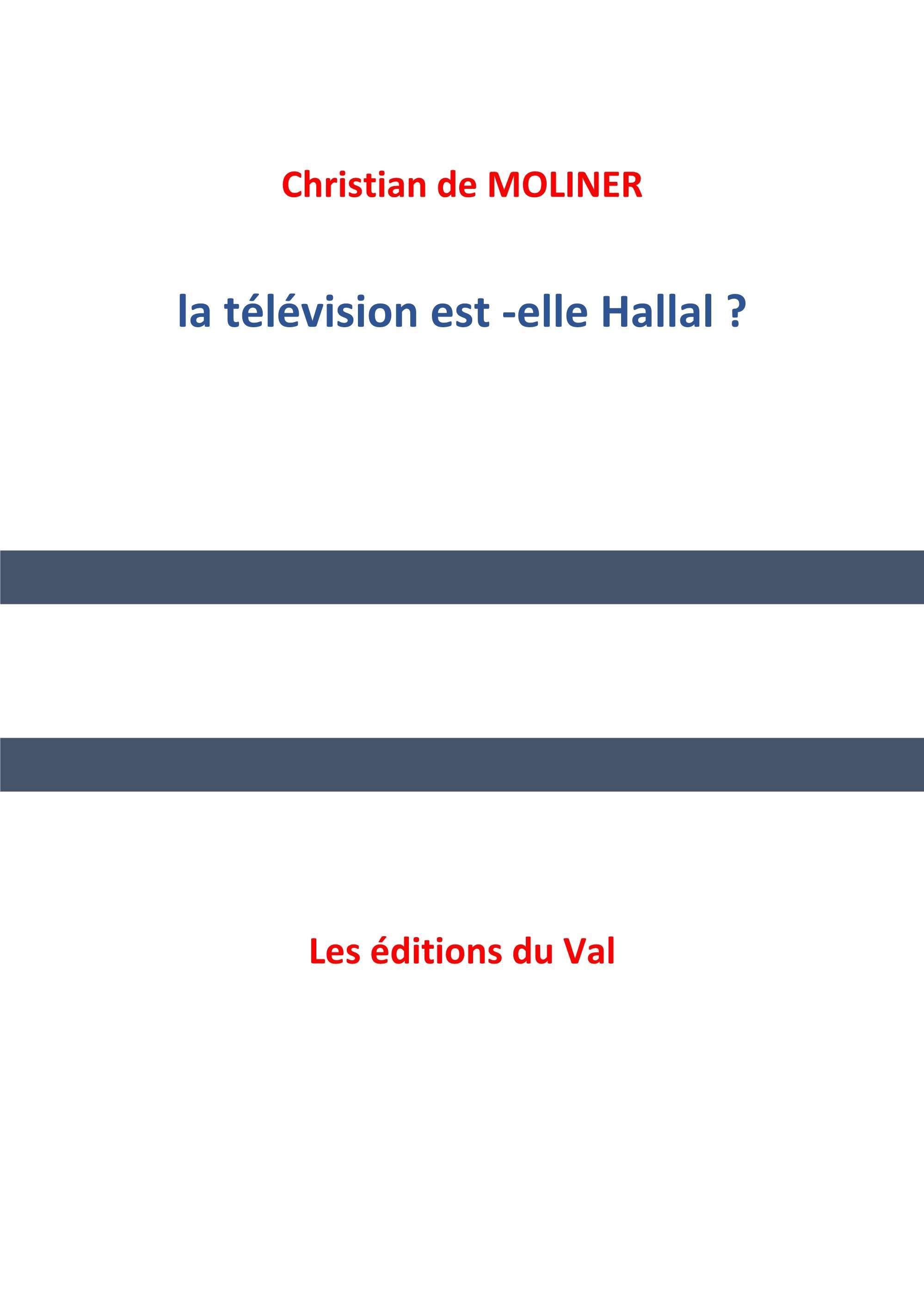 La télévision est-elle halal ?