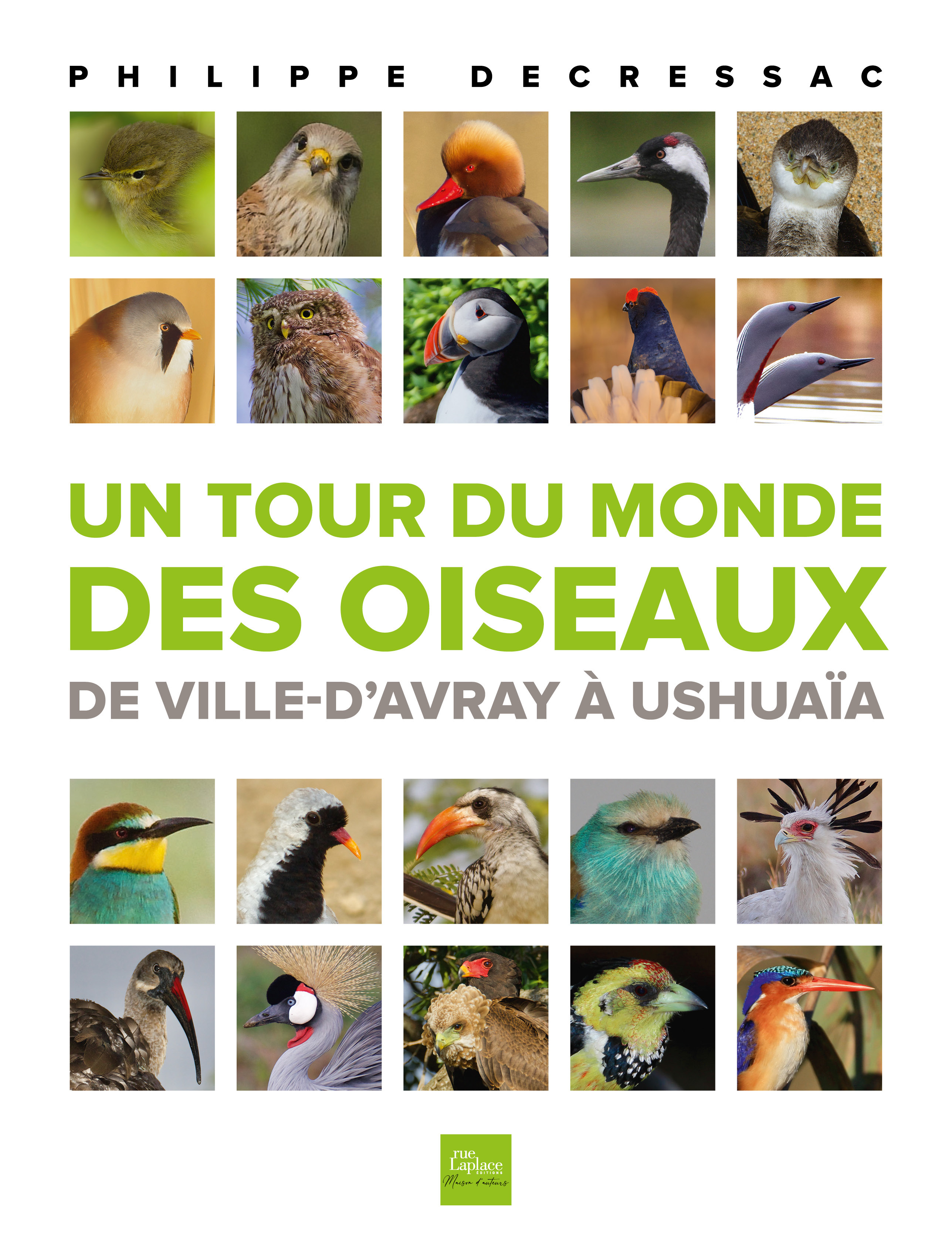 Un tour du monde des oiseaux