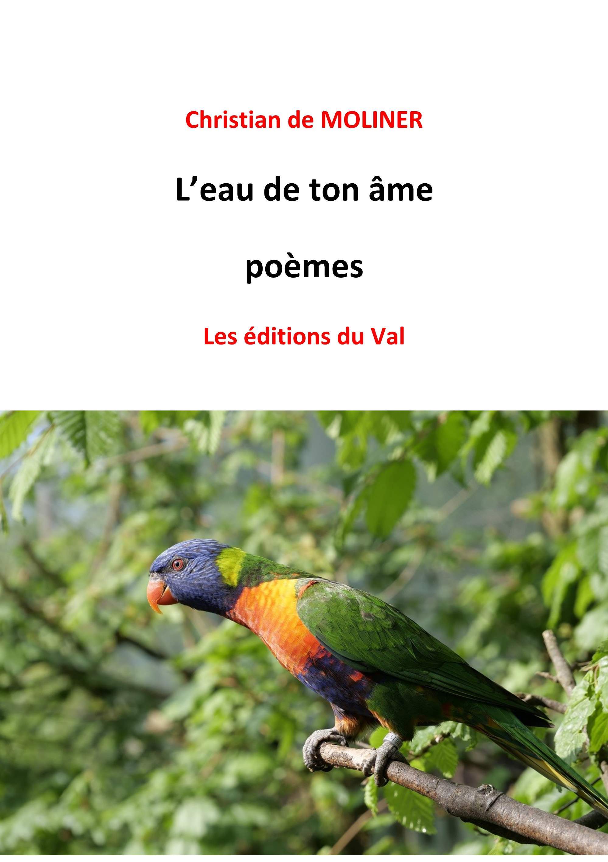 L'eau de ton âme