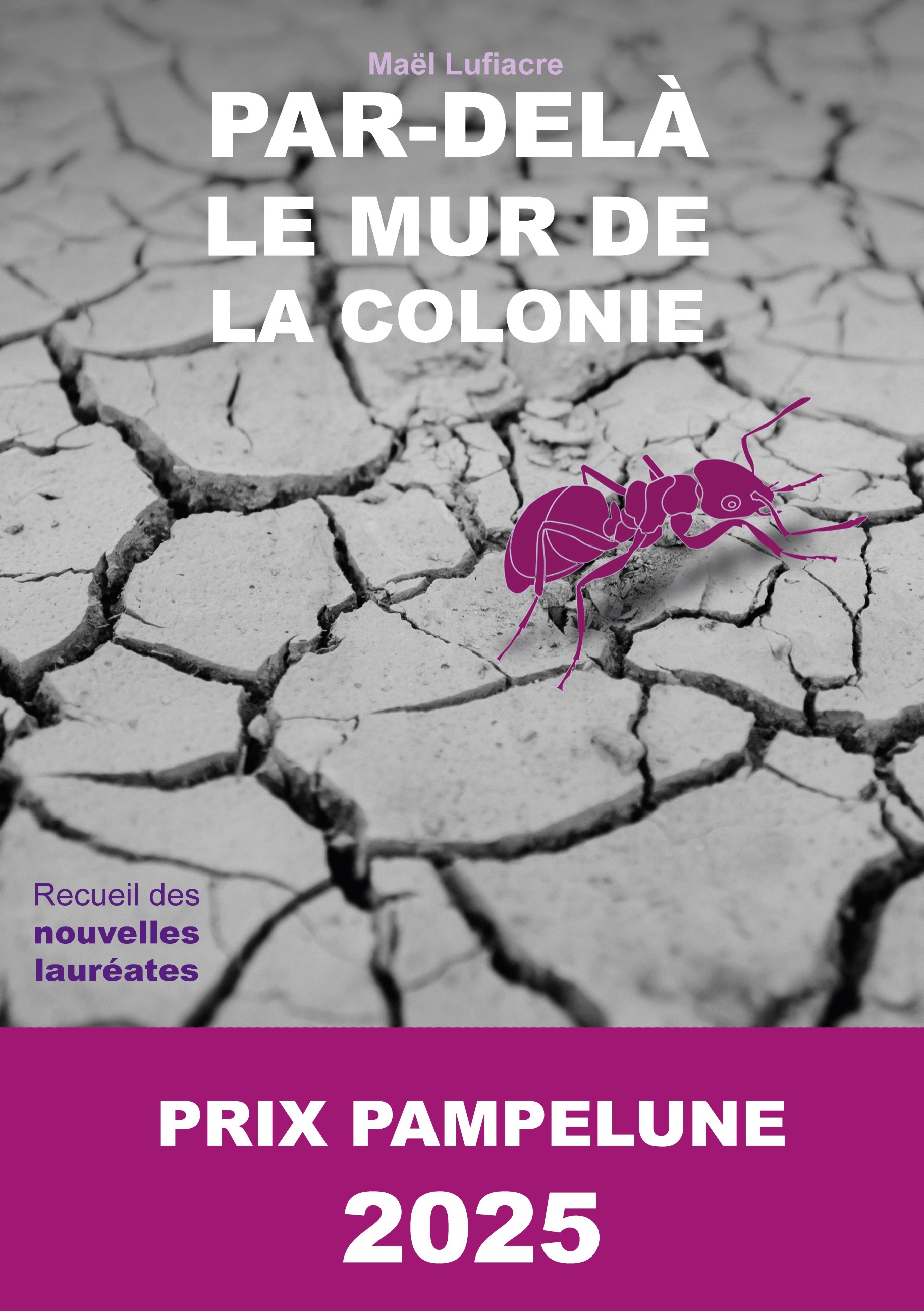 Par-delà le Mur de la Colonie