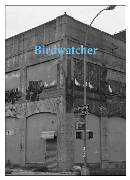 Birdwatcher
