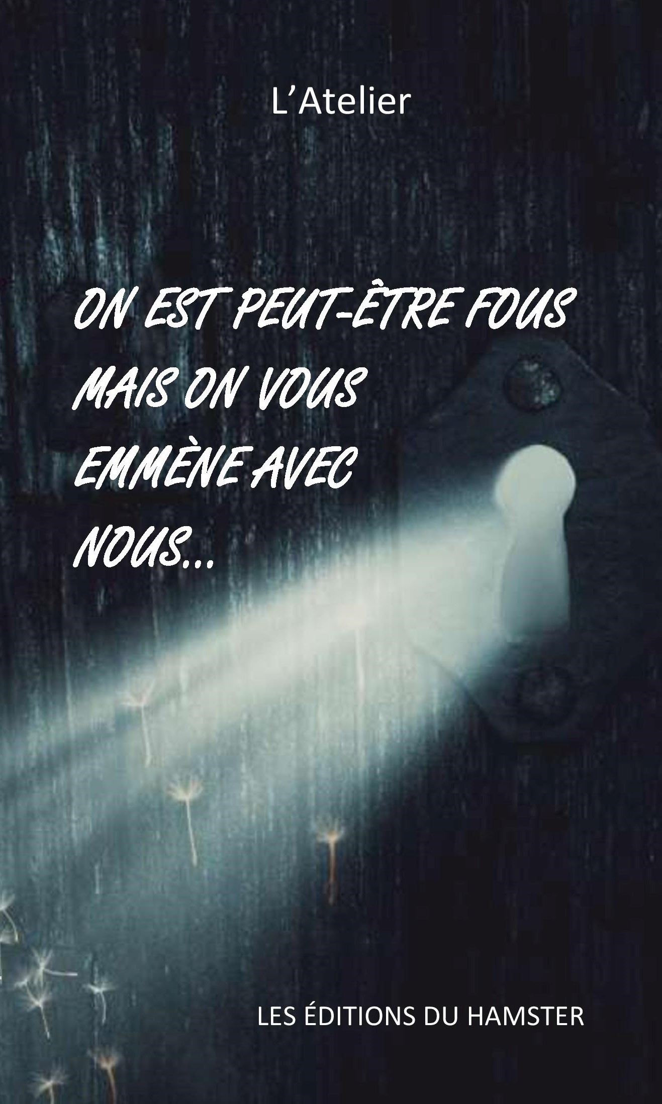 ON EST PEUT-ÊTRE FOUS MAIS ON VOUS EMMÈNE AVEC NOUS...