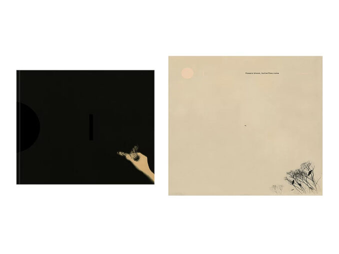 Flowers Bloom, Butterflies Come