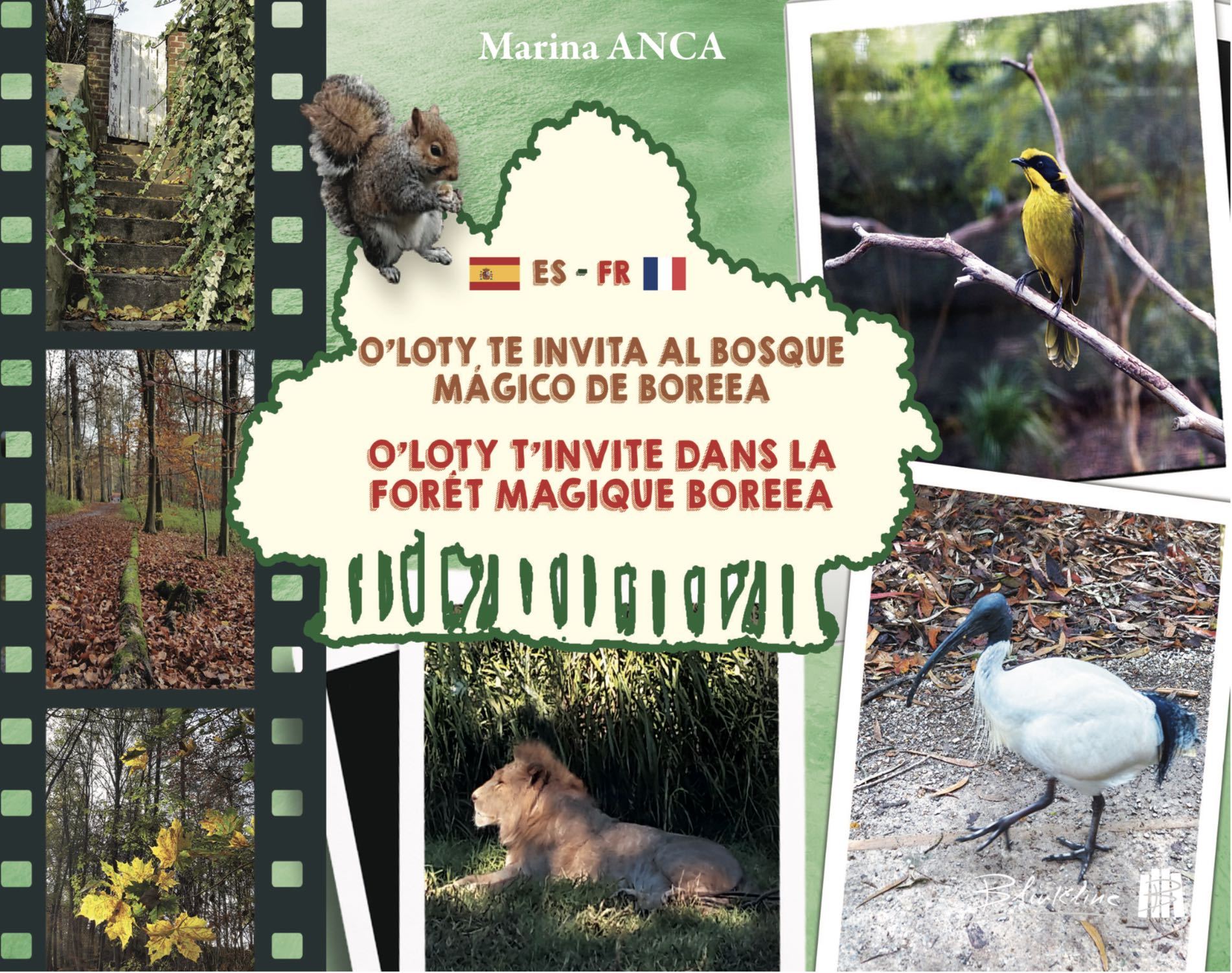 O'Loty t'invite dans la forêt magique Boreea O'Loty te invita al bosque mágico de Boreea