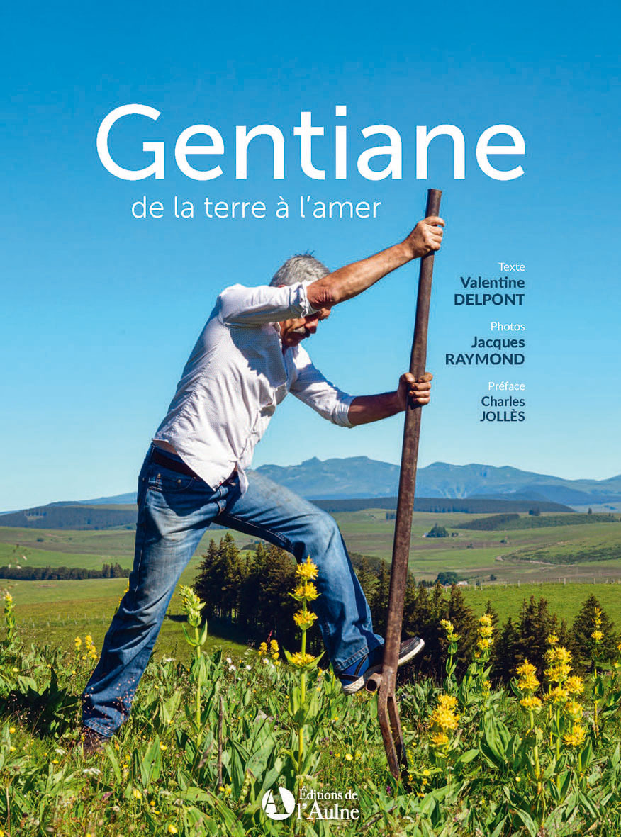 Gentiane de la terre à l'amer