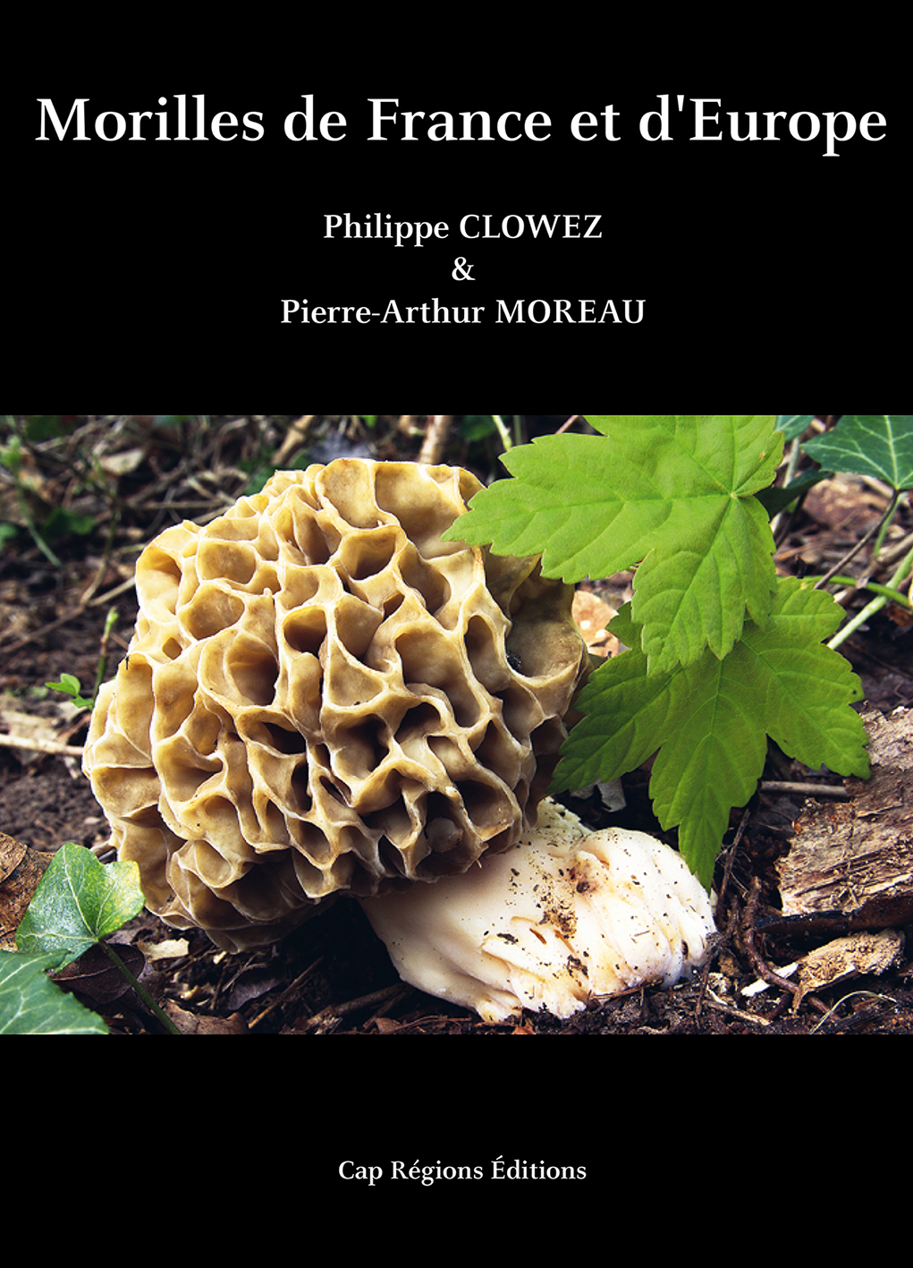 Morilles de France et d'Europe