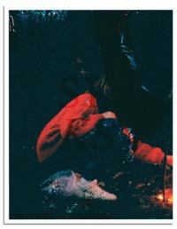 Gilles Pourtier SKKS /franCais/anglais