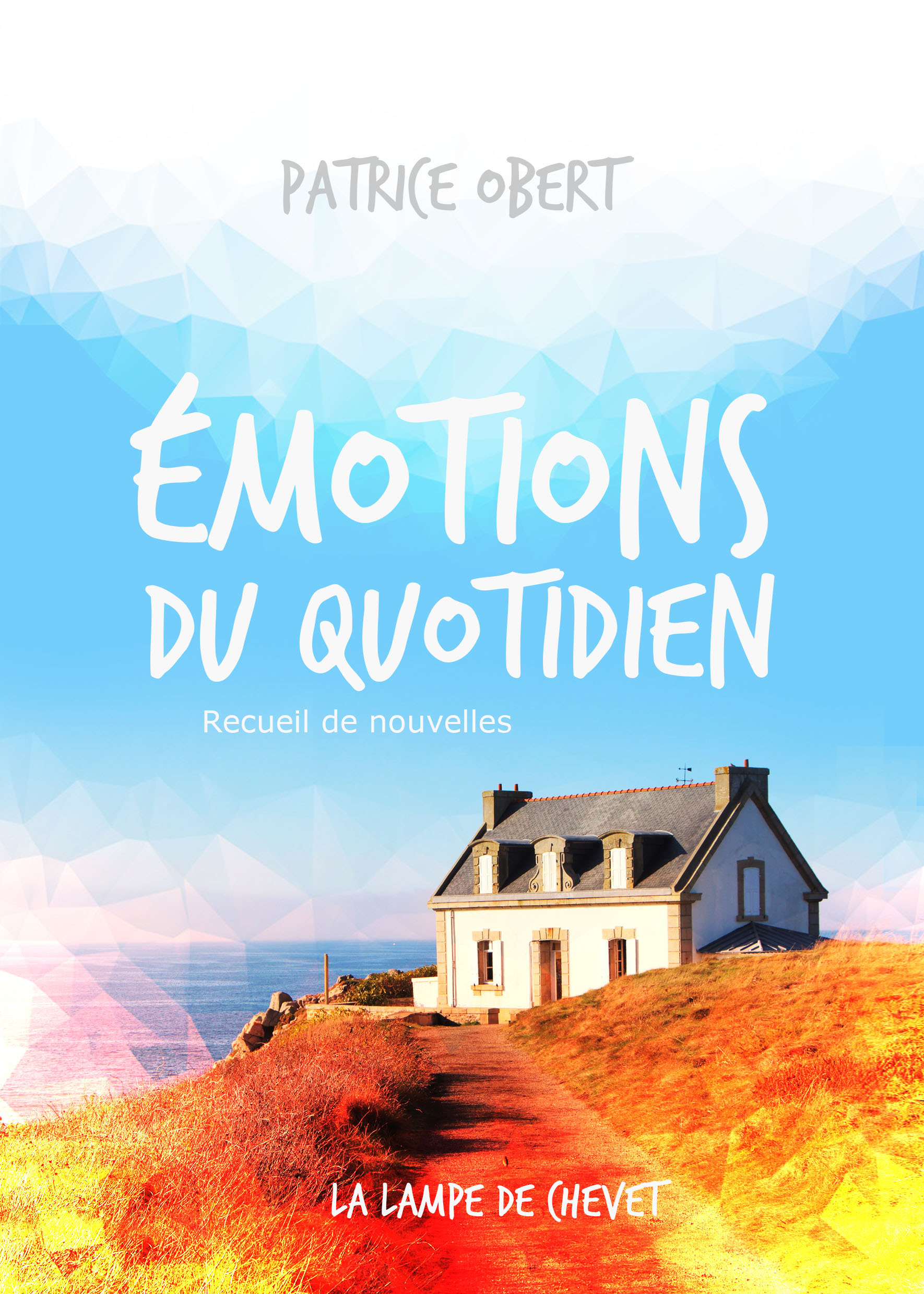 ÉMOTIONS DU QUOTIDIEN