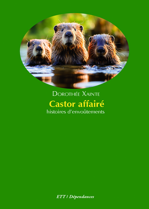 Castor affairé