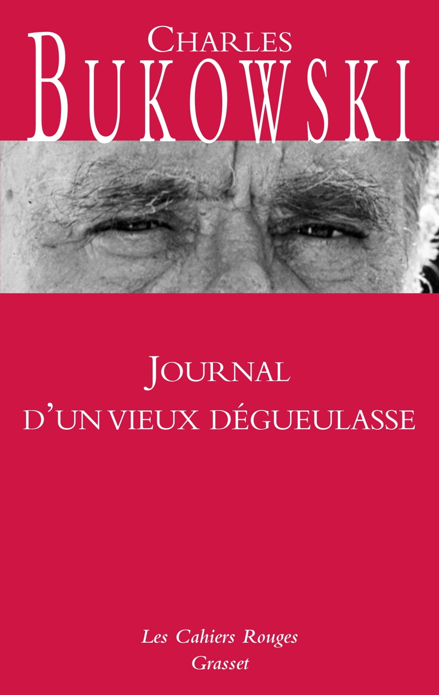 JOURNAL D-UN VIEUX DEGUEULASSE