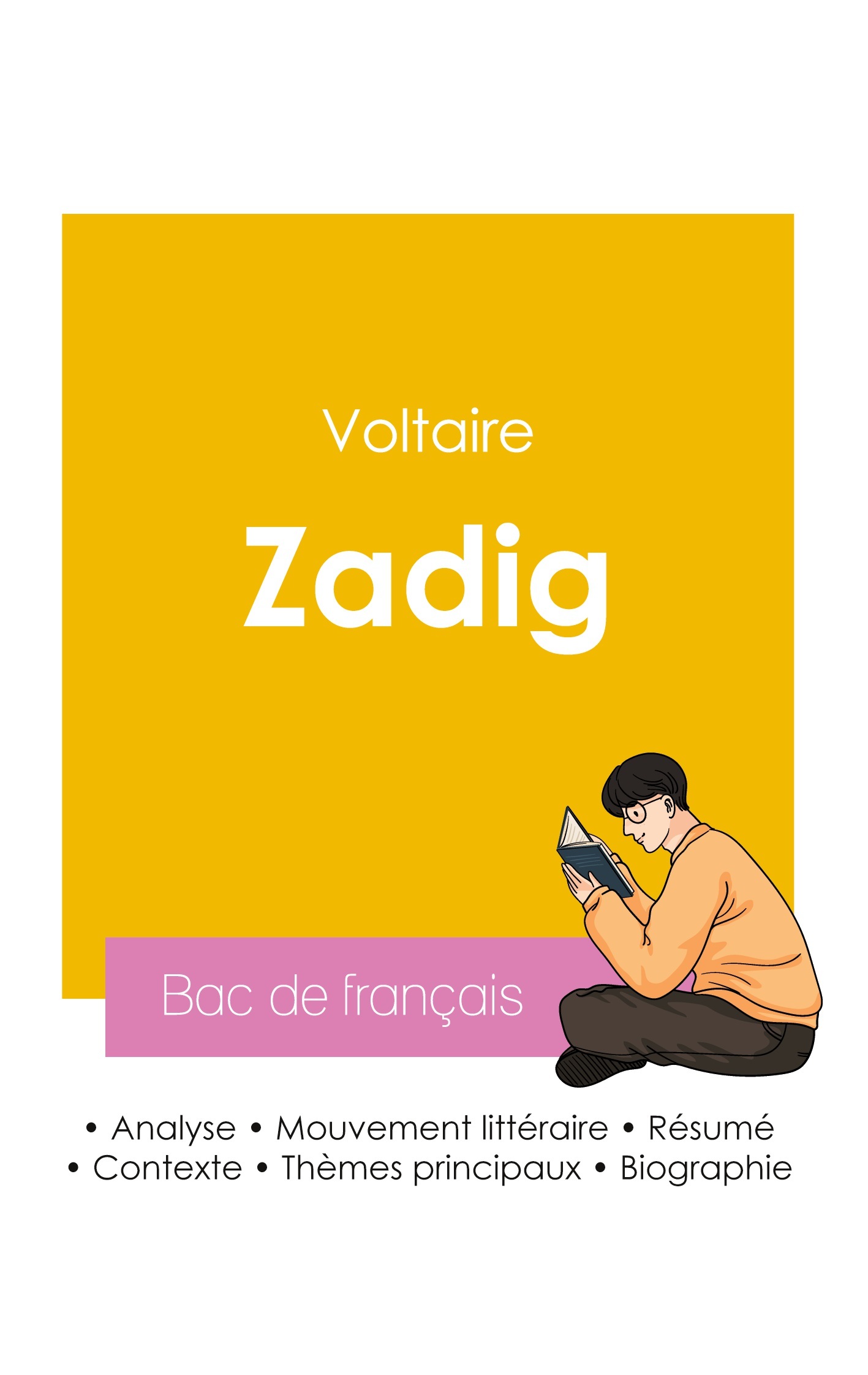 Réussir son Bac de français 2026 : Analyse de Zadig de Voltaire