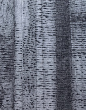 Hannelore Van Dijck The lasting one, that didn't last, that still lasts /franCais/anglais/nEerlandai