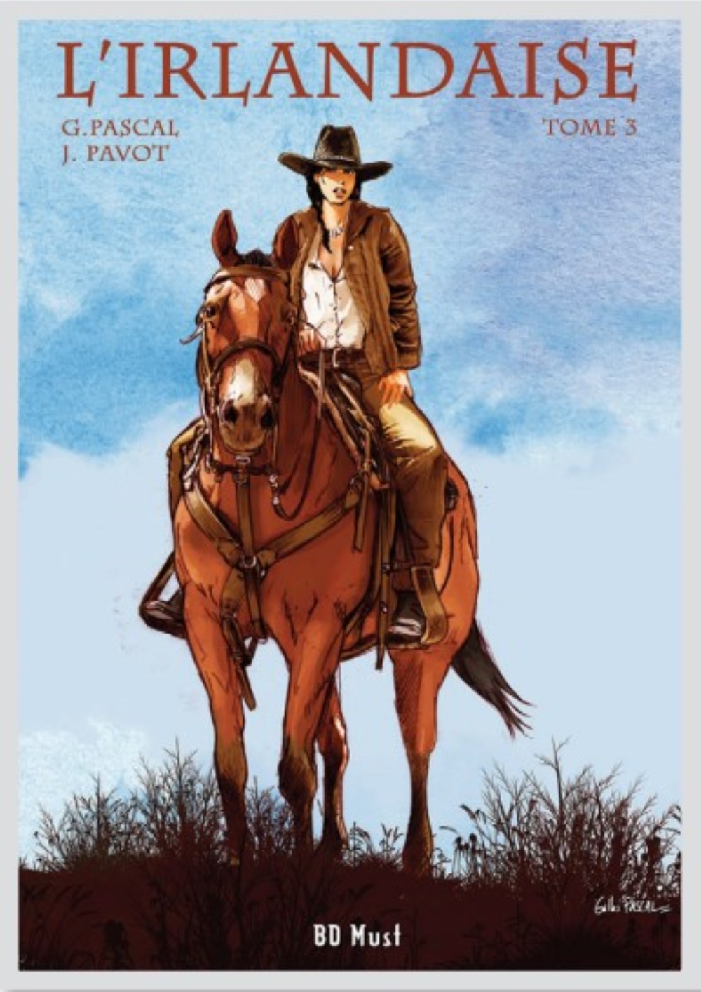 IRLANDAISE T3