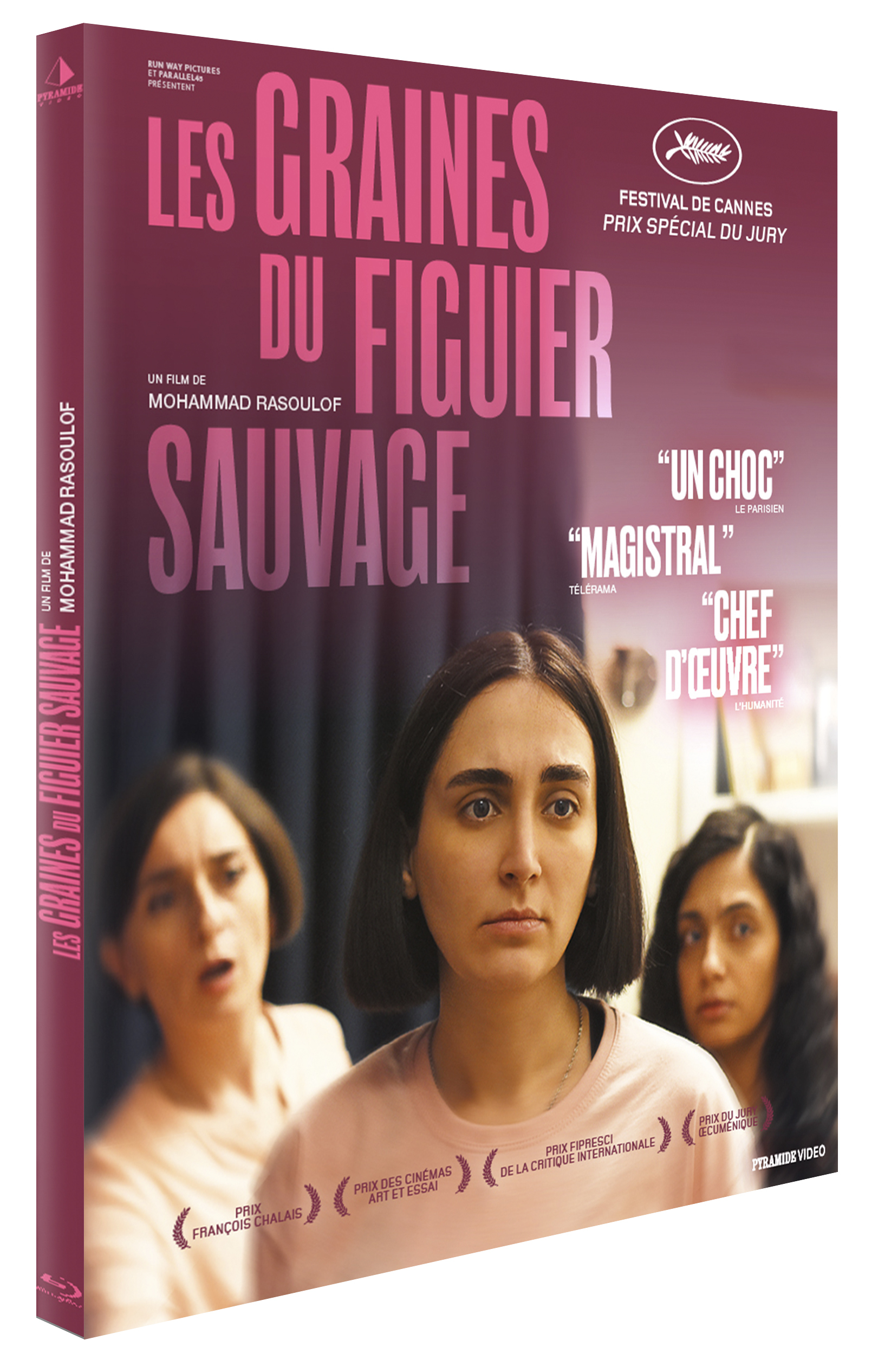 GRAINES DU FIGUIER SAUVAGE (LES) - BLU-RAY