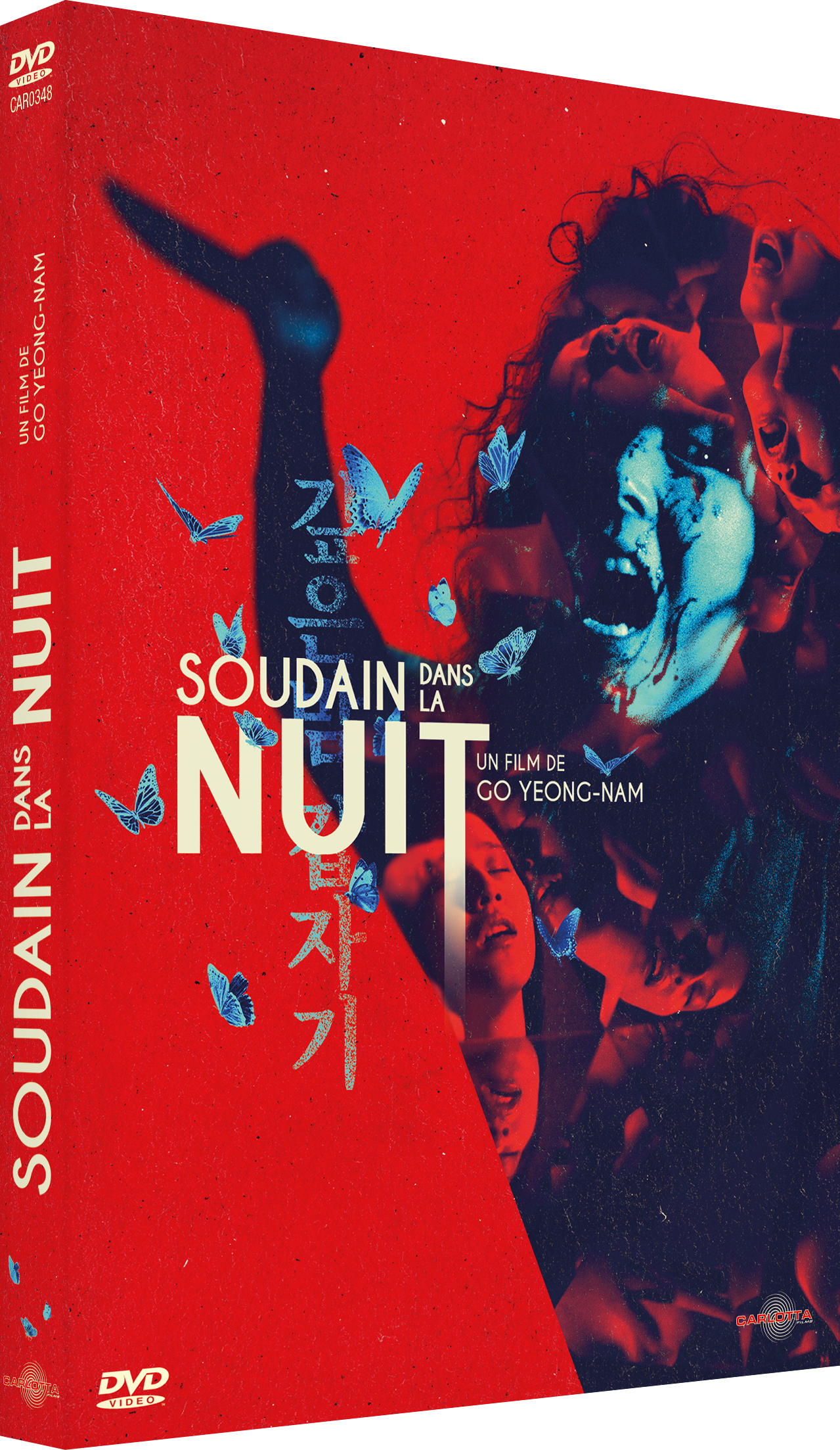 SOUDAIN DANS LA NUIT - DVD