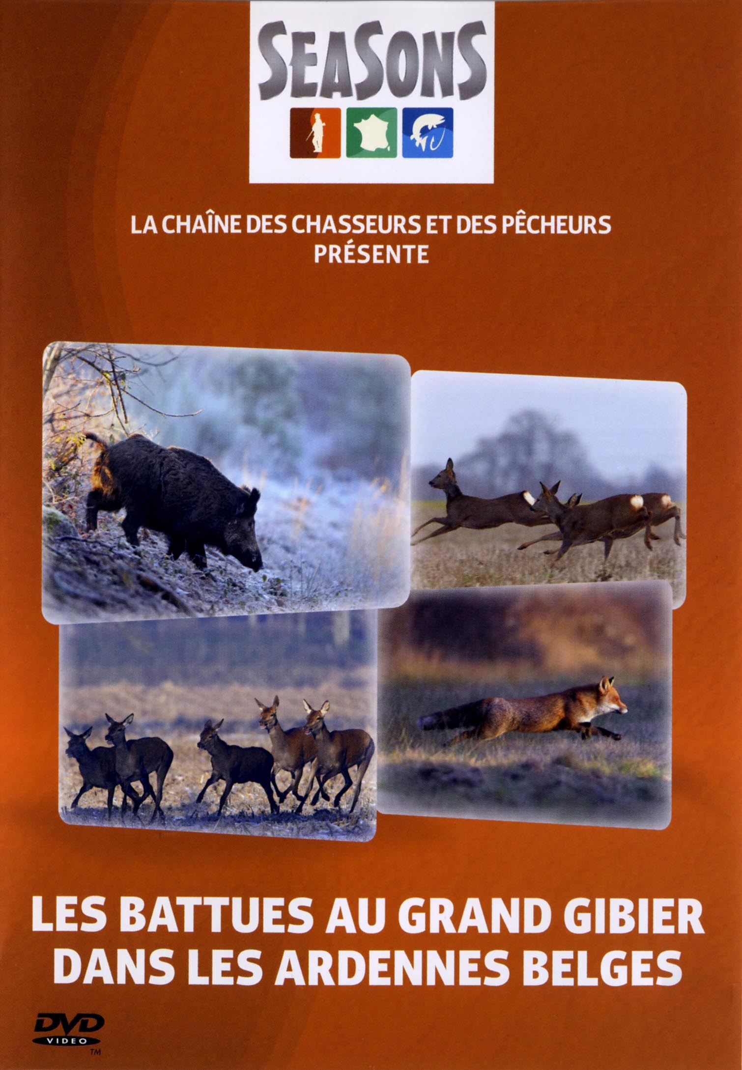 BATTUES GRD GIBIER... - DVD  ... ARDENNES BELGES