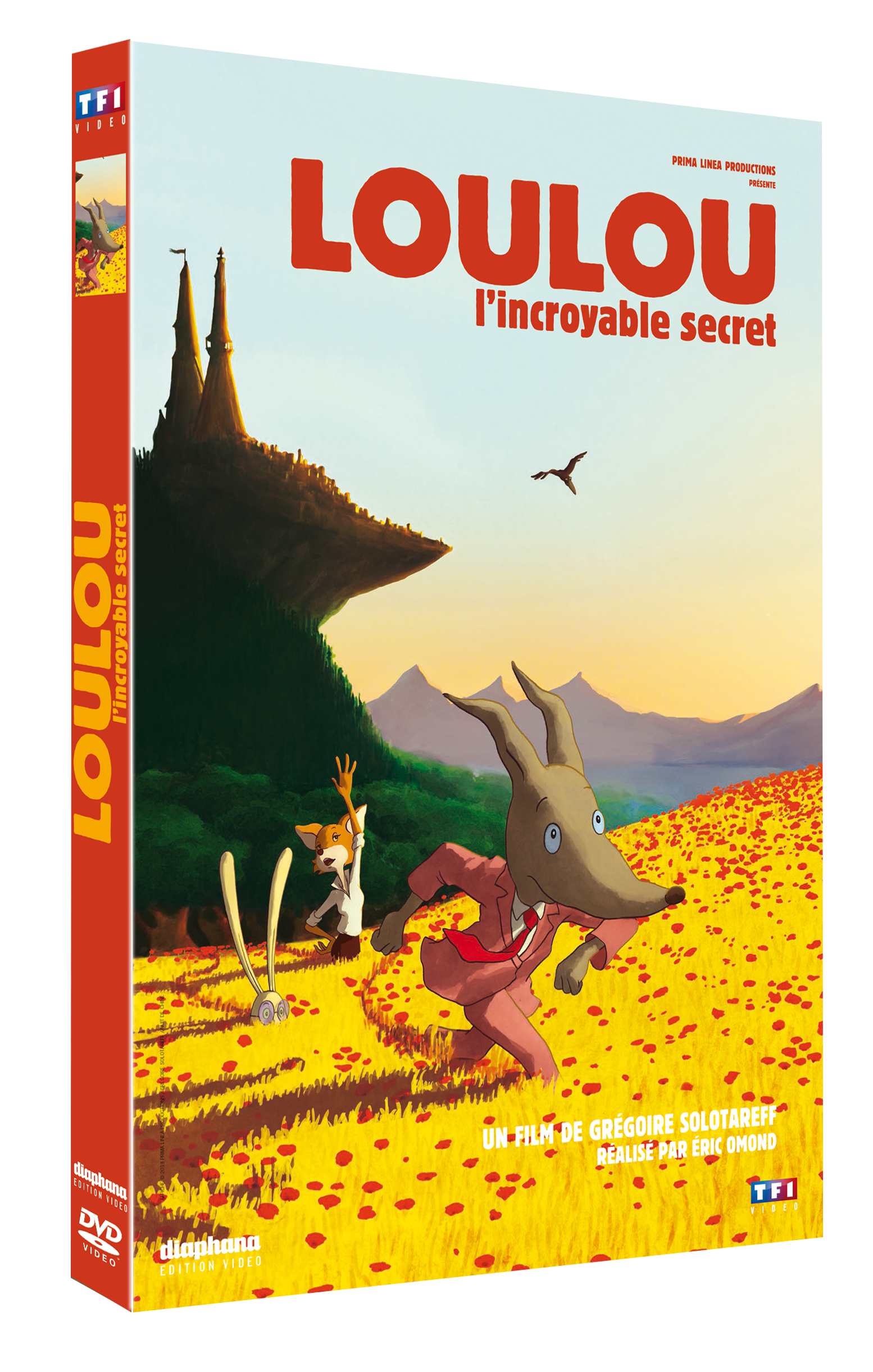 LOULOU L INCROYABLE SECRET - DVD