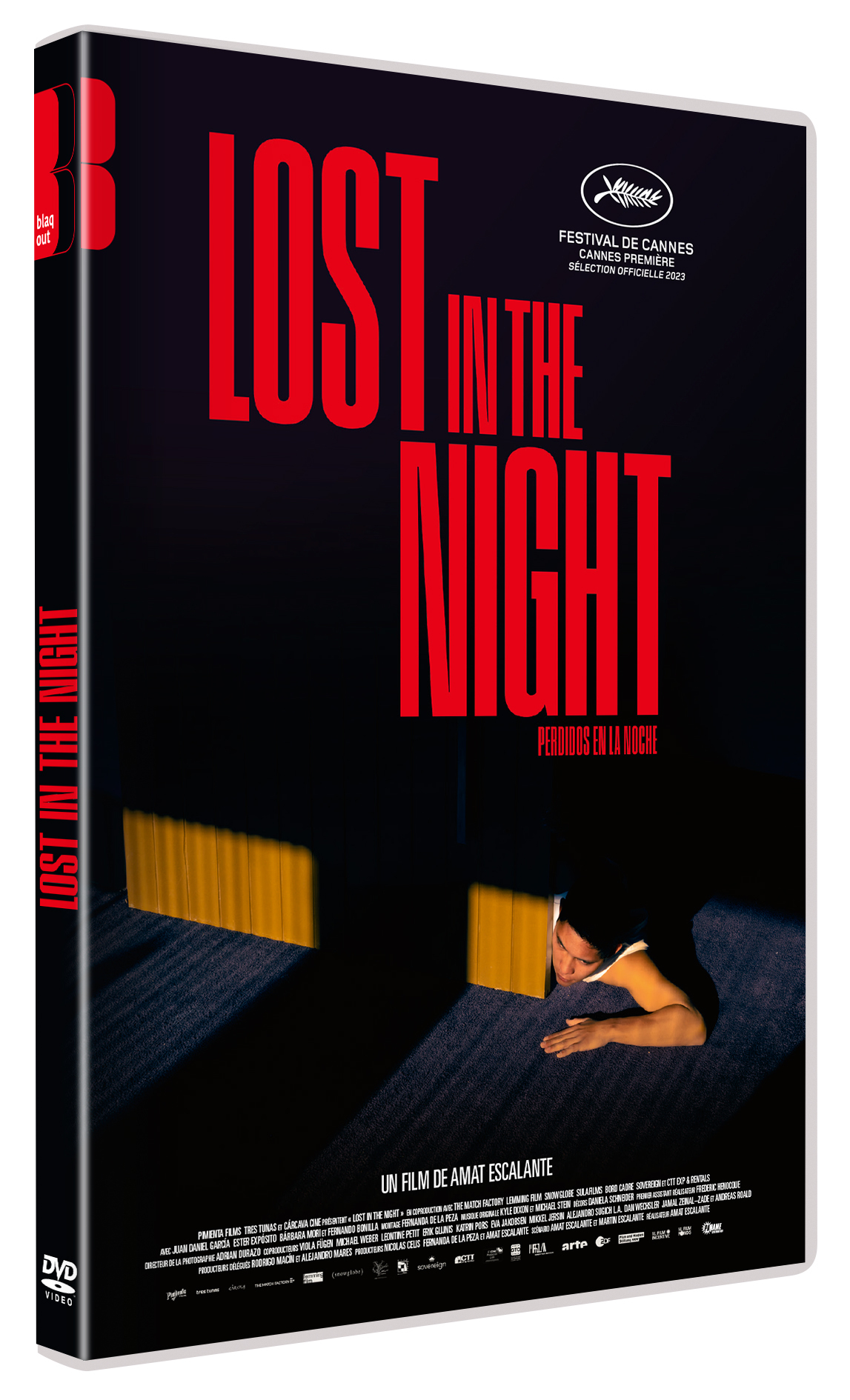LOST IN THE NIGHT - DVD