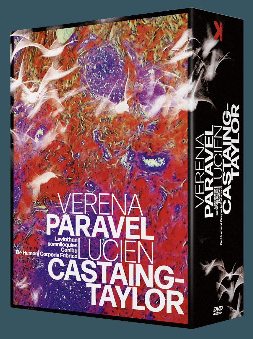 COFFRET VERENA PARAVEL ET LUCIEN CASTAING-TAYLOR - 4 DVD