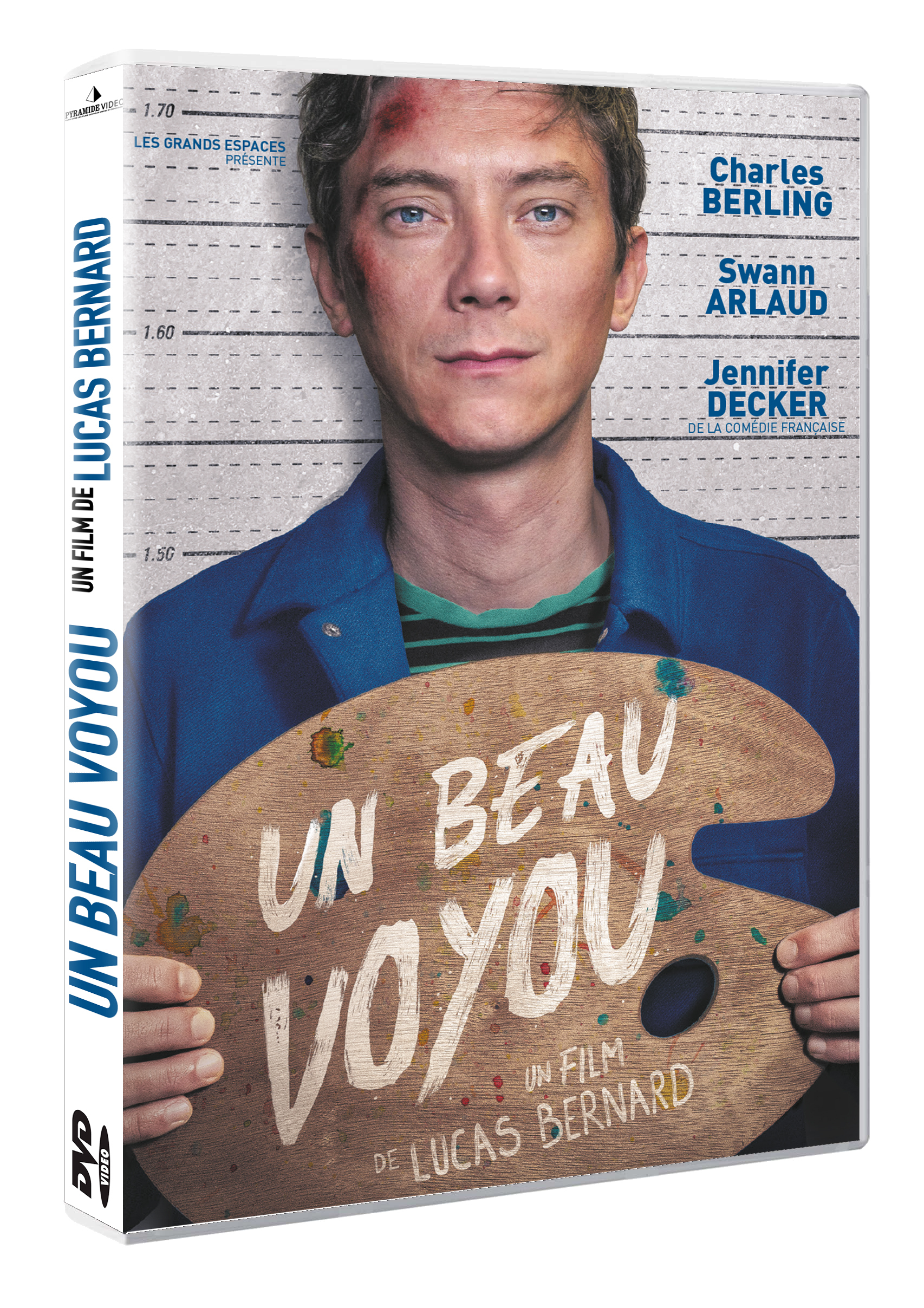 UN BEAU VOYOU - DVD