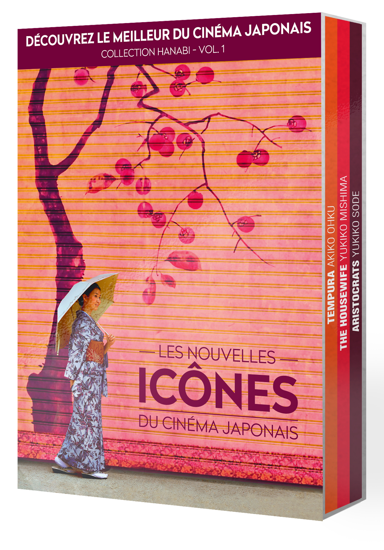 NOUVELLES ICONES DU CINEMA JAPONAIS (LES) - COLLECTION HANABI - V1 - 3 DVD