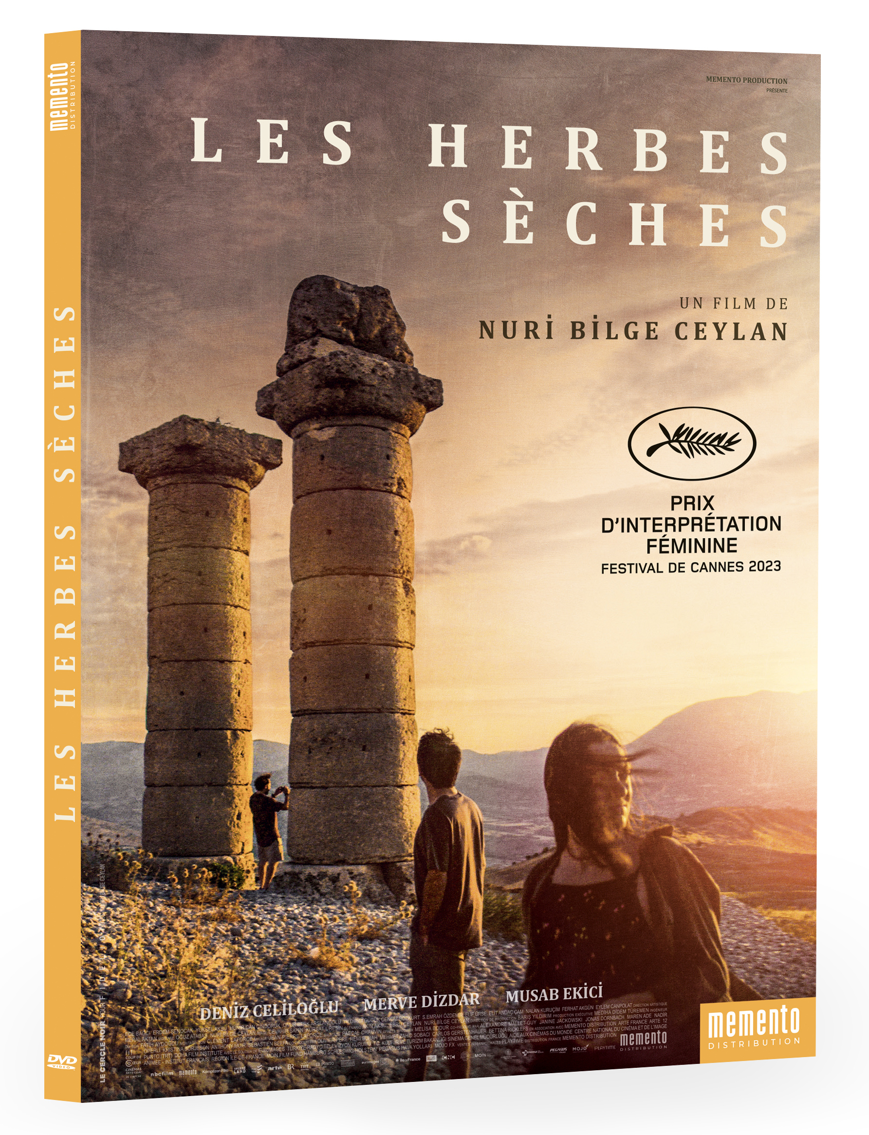 HERBES SECHES (LES) - DVD