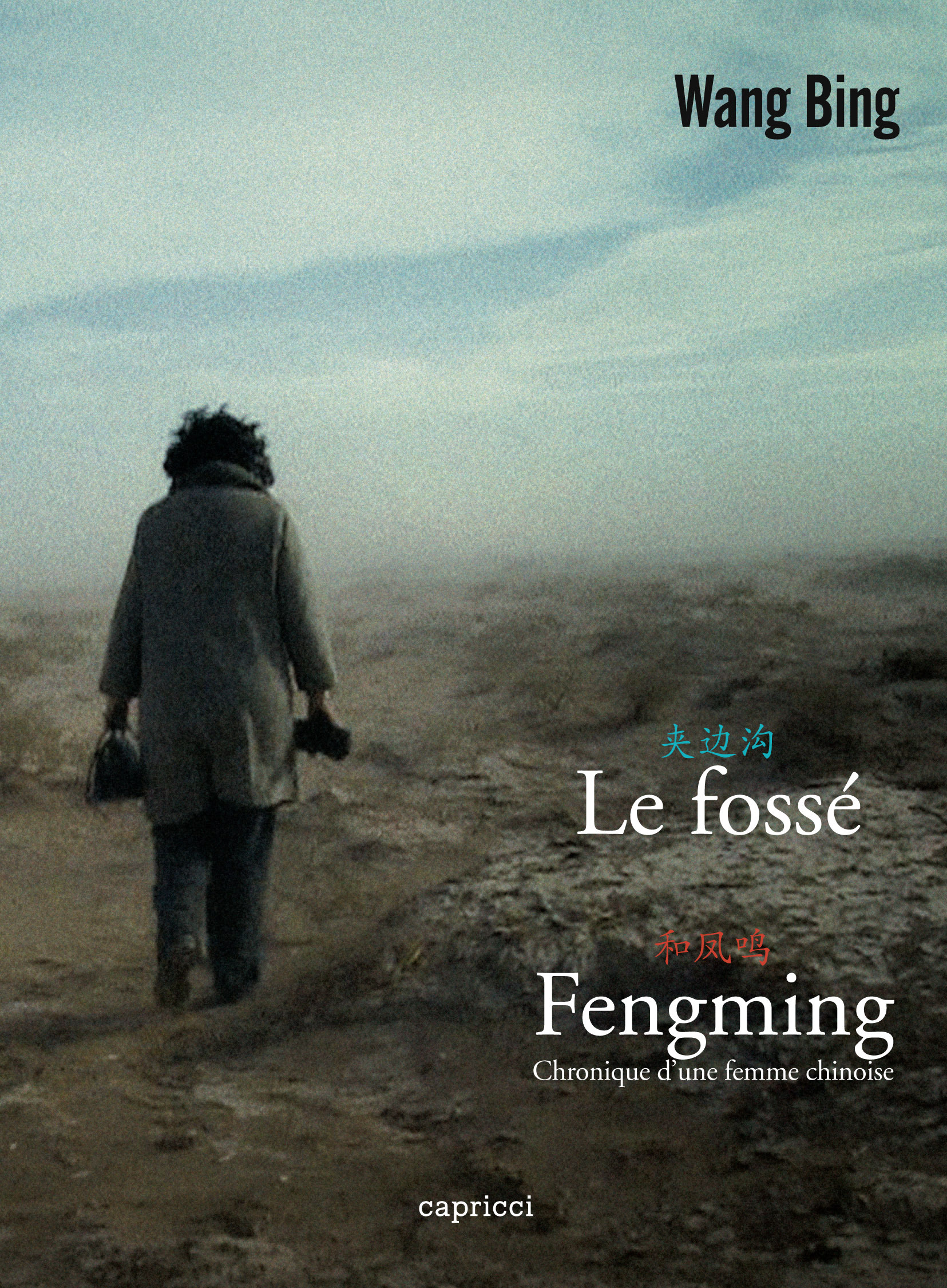 LE FOSSE ET FENMING, CHRONIQUE D'UNE FEMME CHINOISE - DVD
