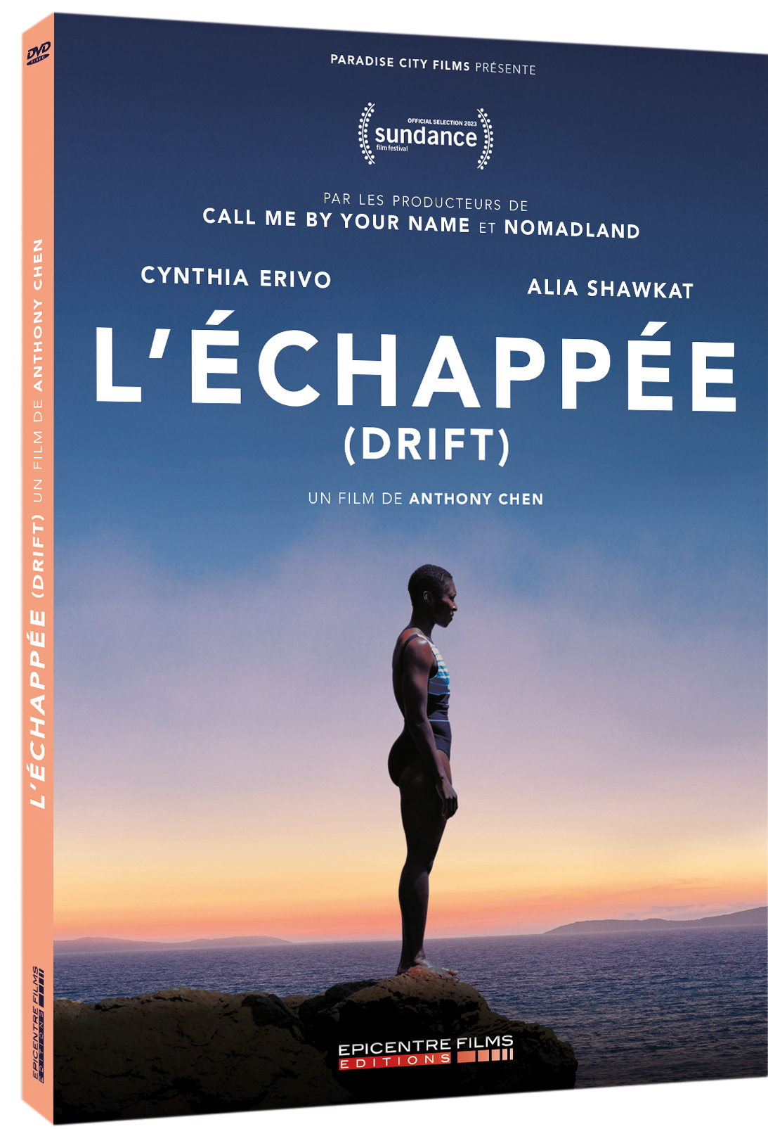 ECHAPPEE (L') - DVD
