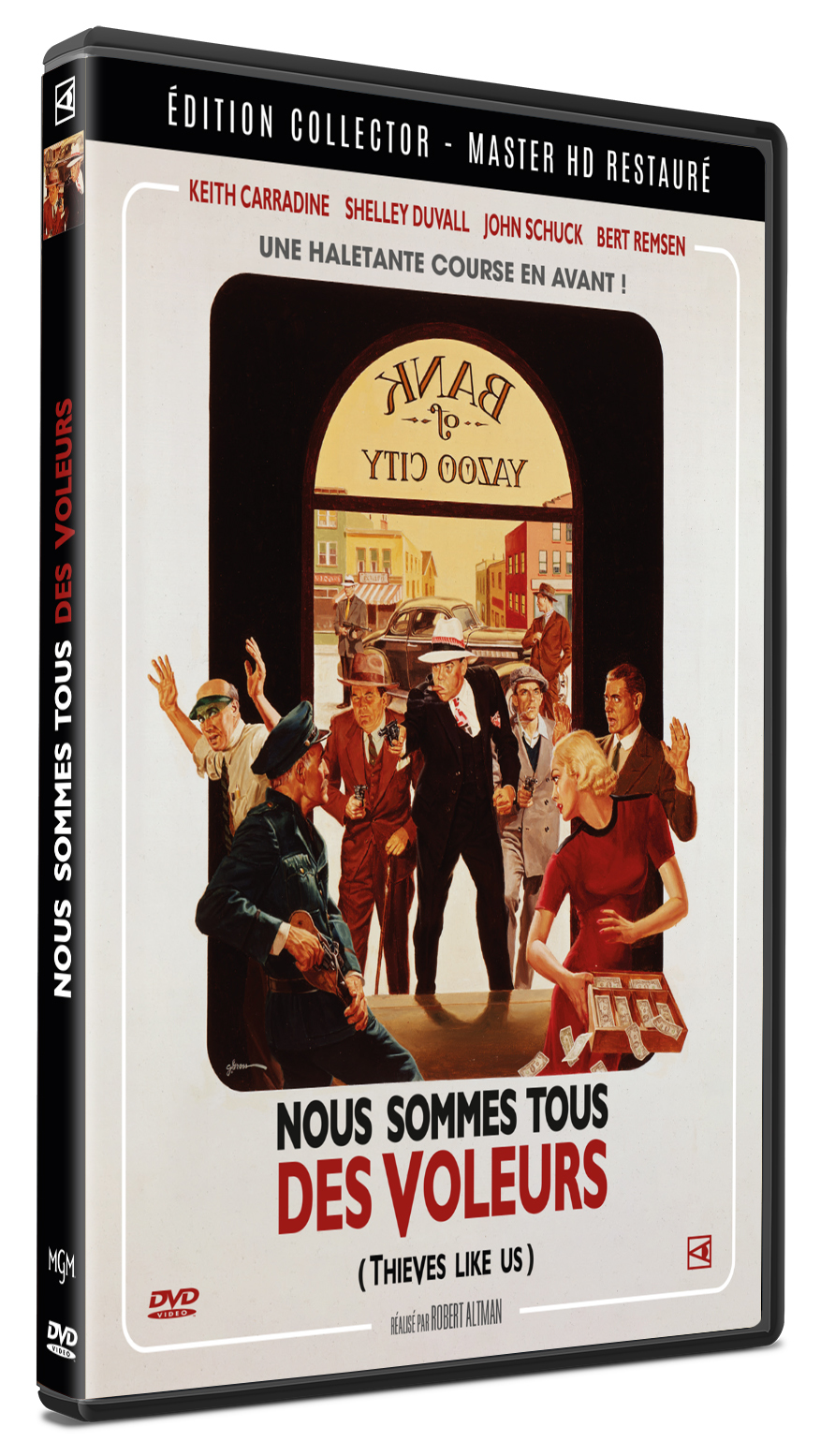 NOUS SOMMES TOUS DES VOLEURS - DVD