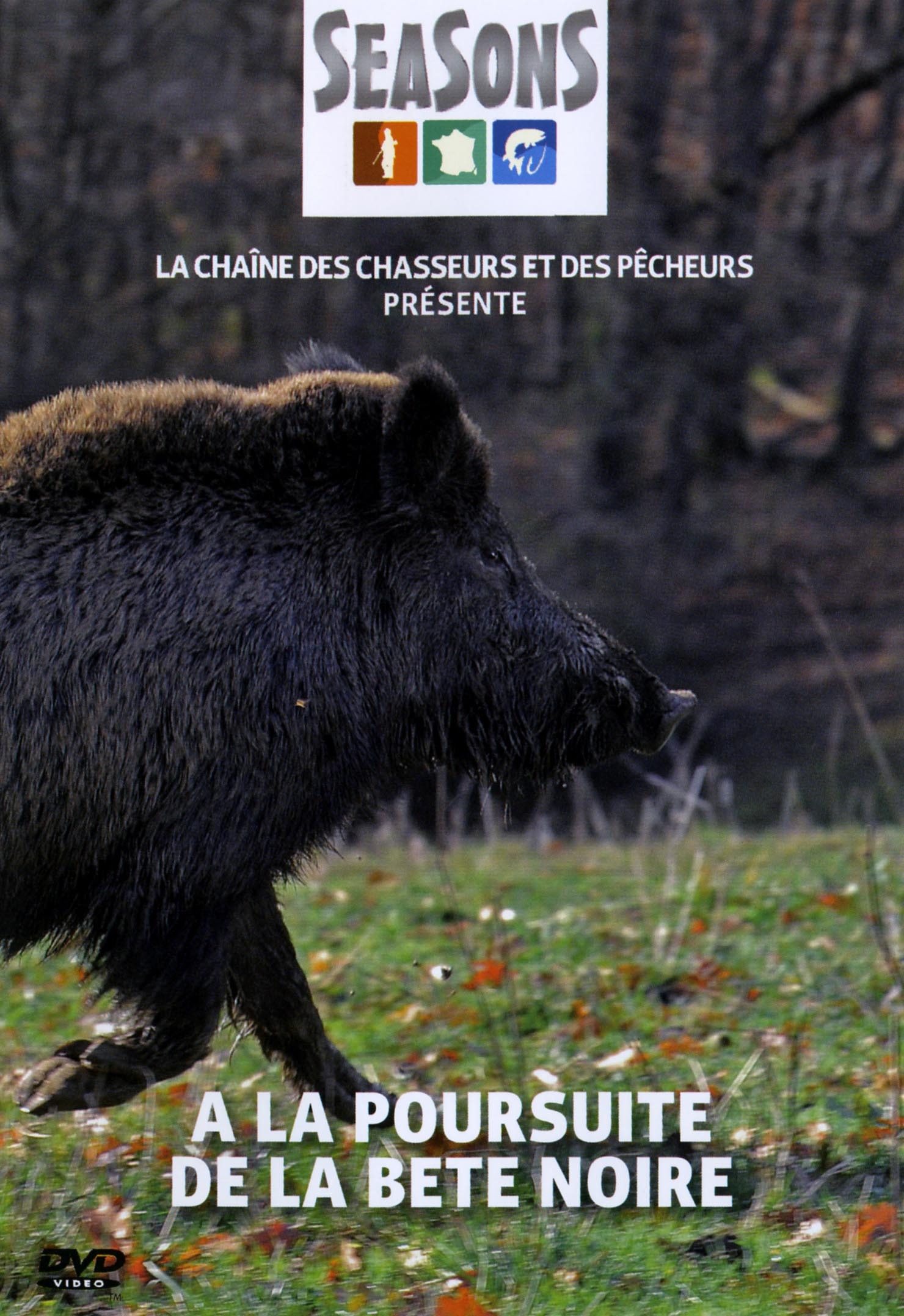 A LA POURSUITE BETE NOIRE- DVD