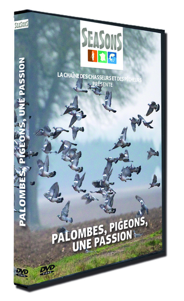 PALOMBES, PIGEONS... - DVD