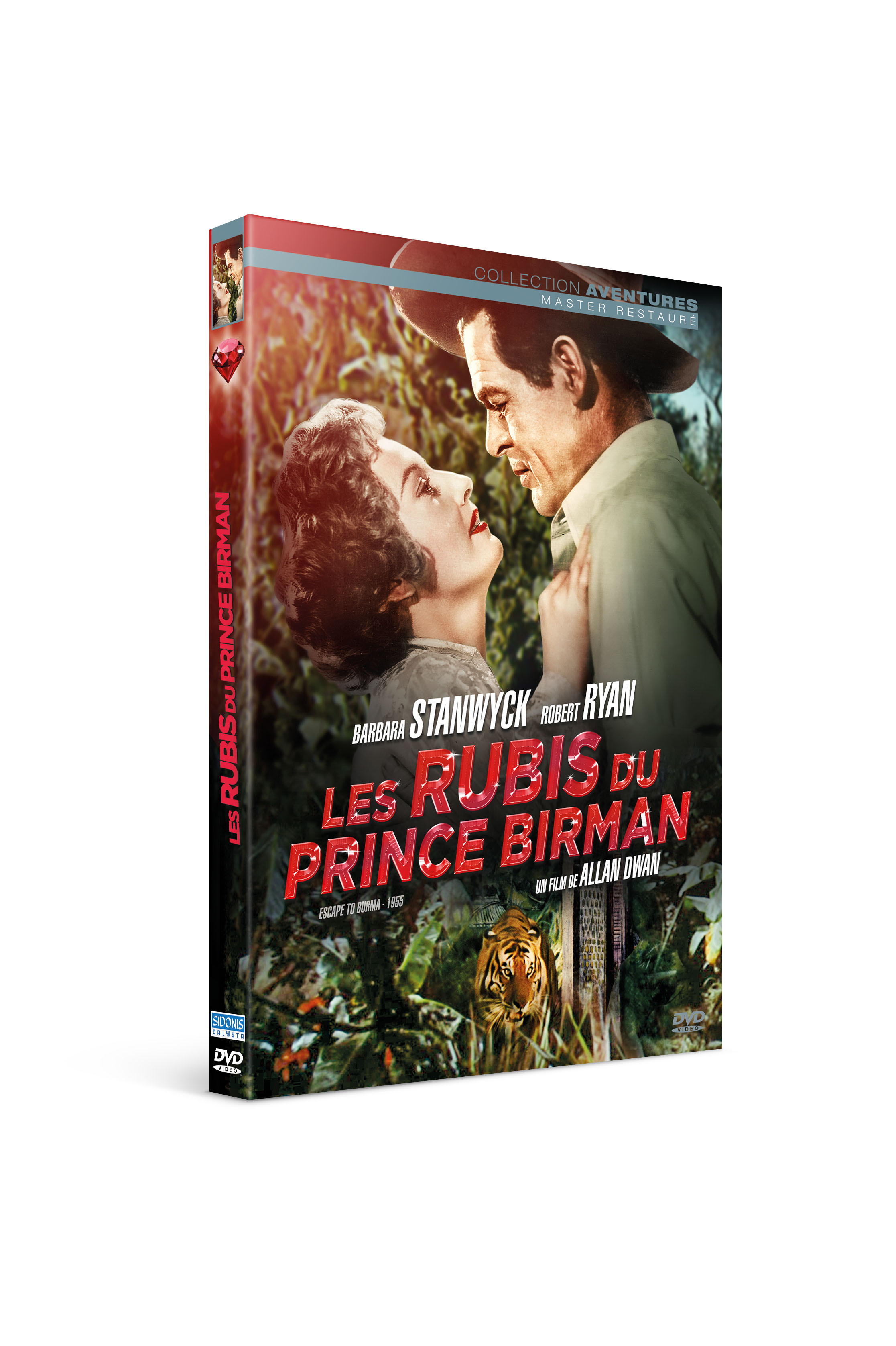 RUBIS DU PRINCE BIRMAN (LES) - DVD