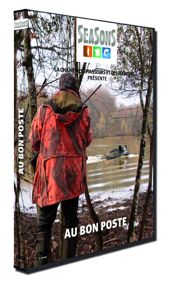 AU BON POSTE - DVD
