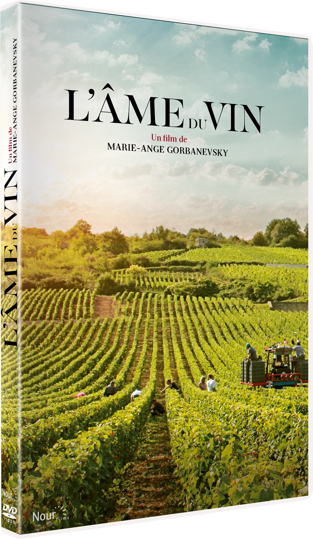 AME DU VIN (L') - DVD