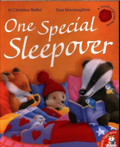 One Special Sleepover